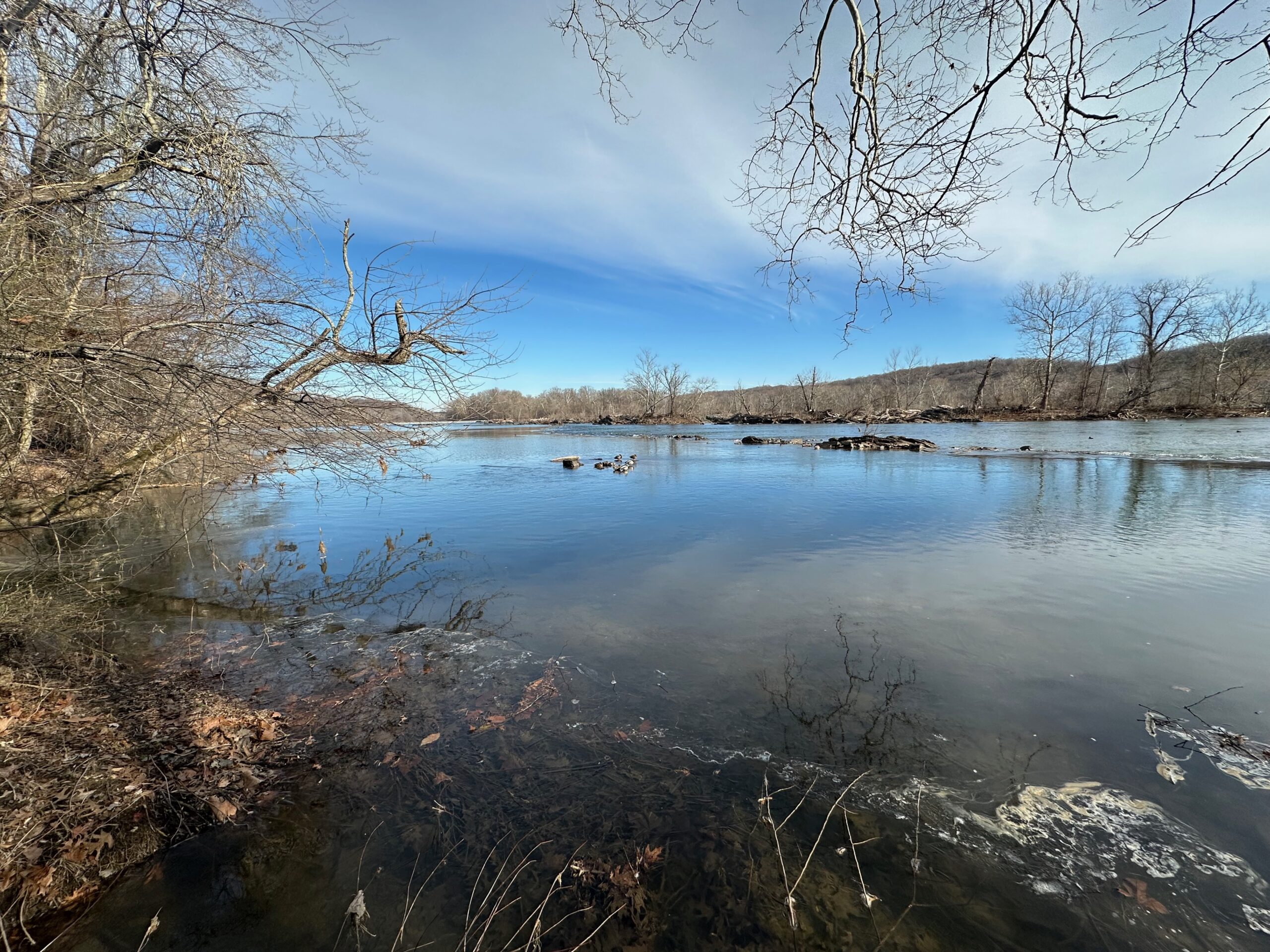 Great Falls US-7804