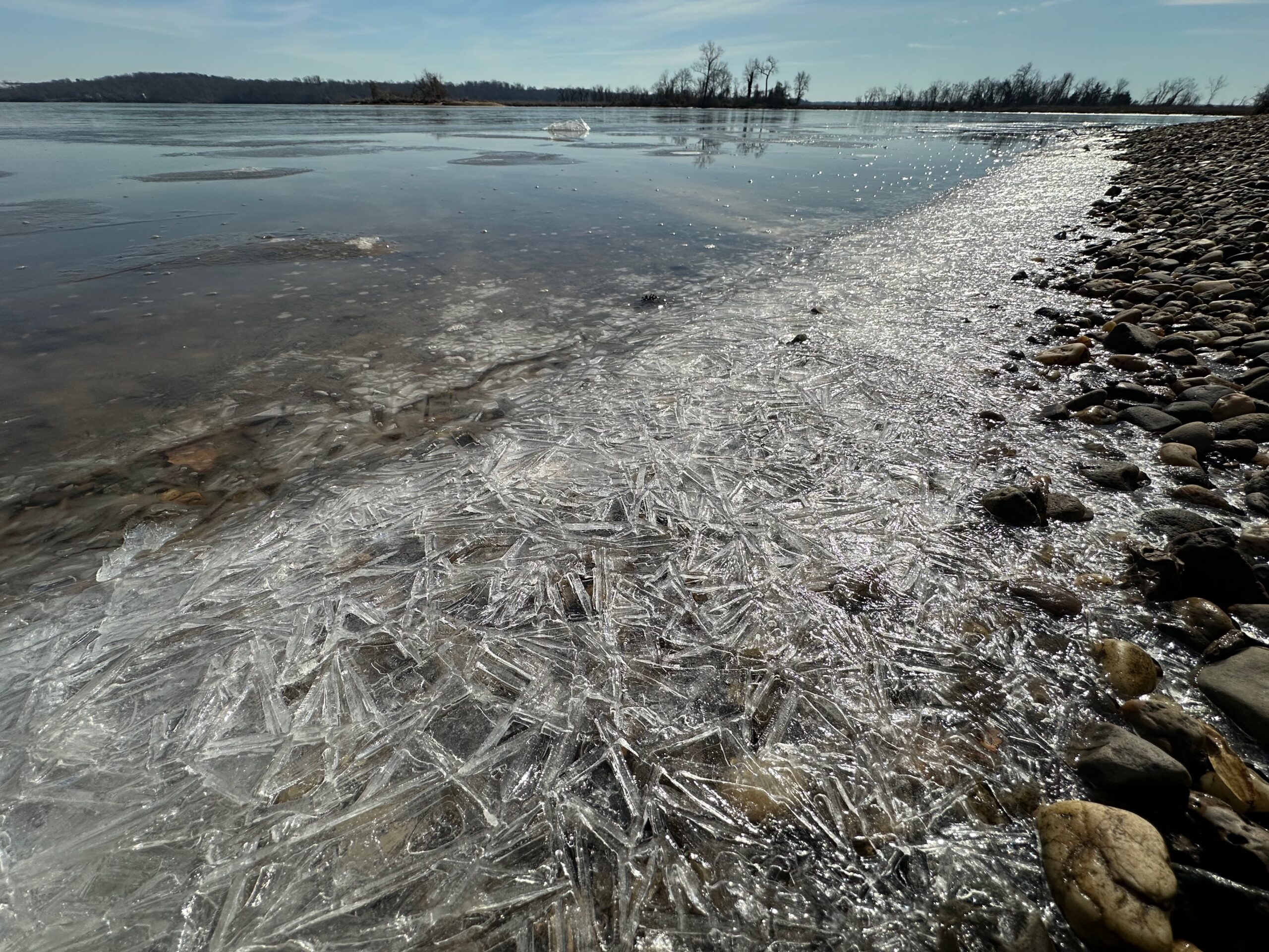 Dyke Marsh Wildlife Preserve